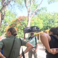 Carrying luggage the Haitian way